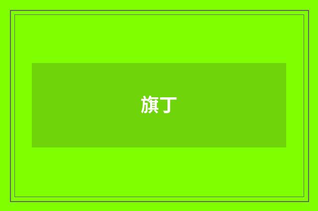 旗丁