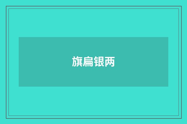 旗扁银两