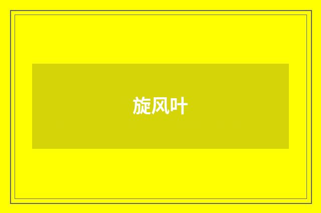 旋风叶