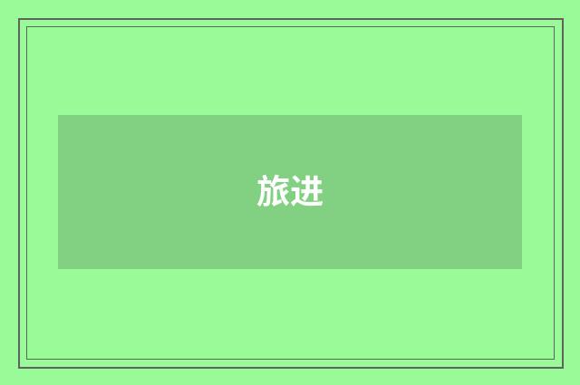 旅进
