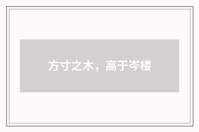 方寸之木，高于岑楼