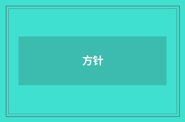 方针