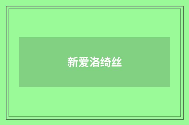 新爱洛绮丝