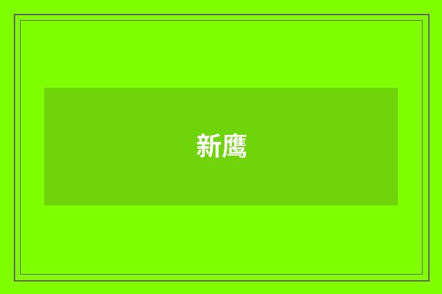 新鹰