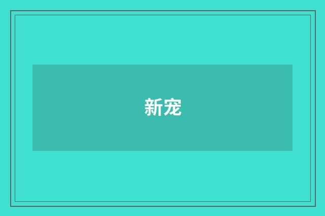 新宠