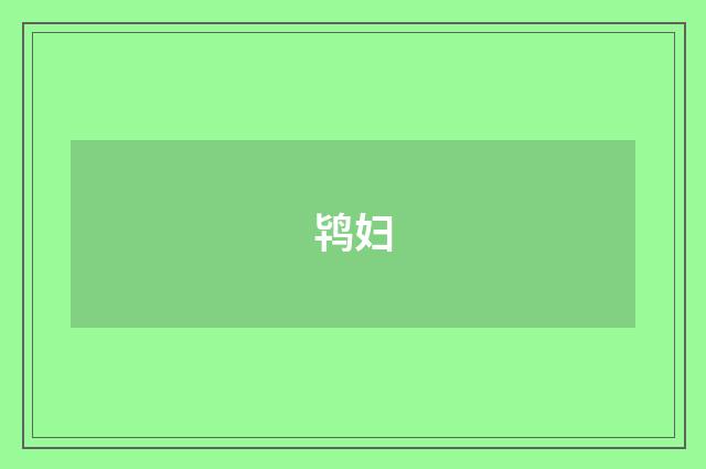 鸨妇