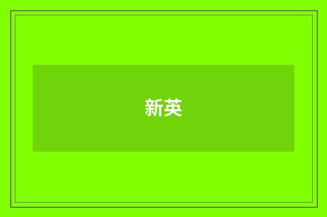 新英