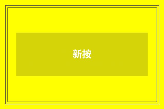 新按