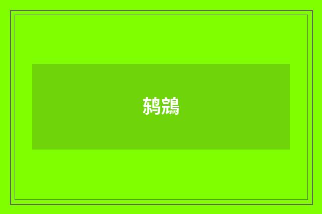 鸫鵍