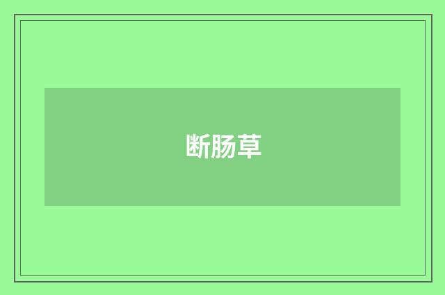 断肠草