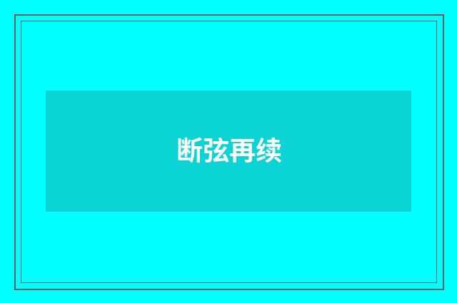 断弦再续