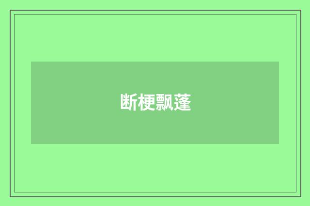 断梗飘蓬