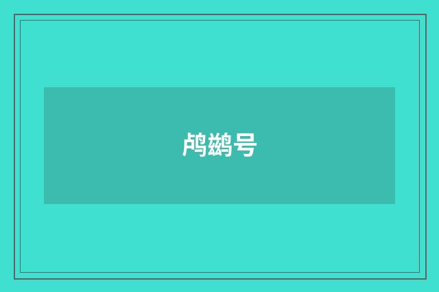 鸬鹚号