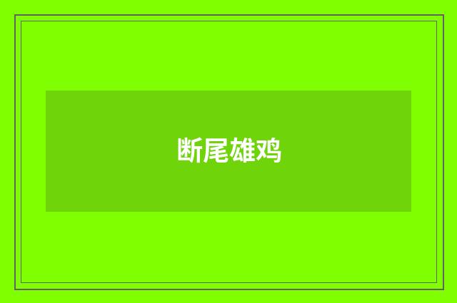 断尾雄鸡