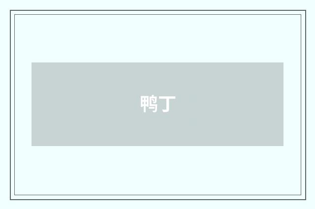 鸭丁