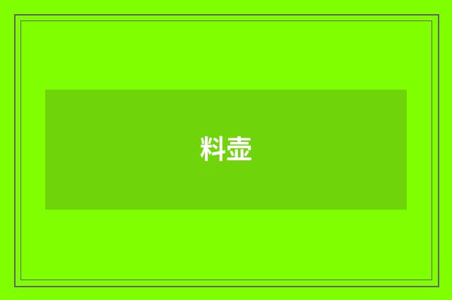 料壶