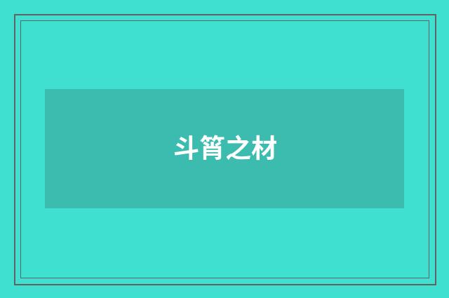 斗筲之材