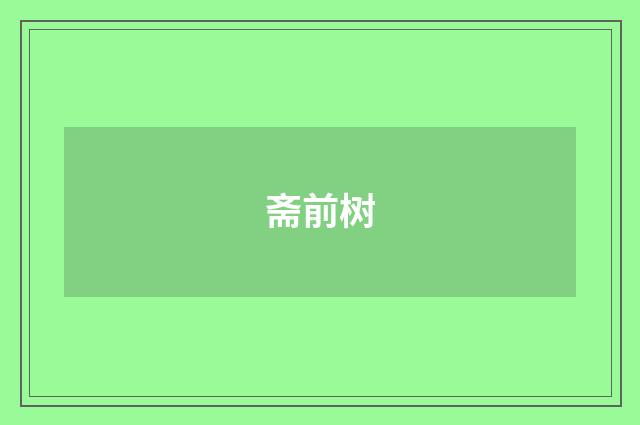 斋前树
