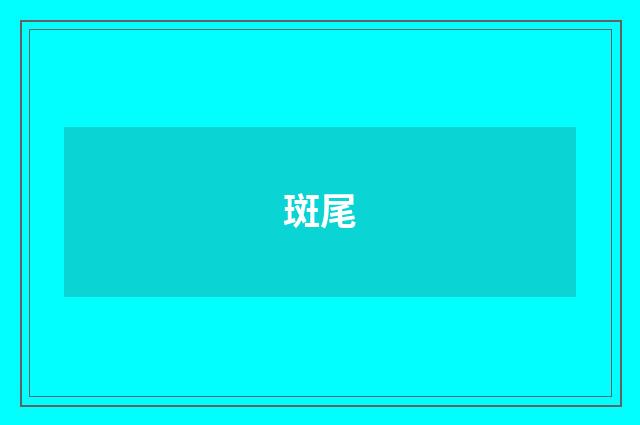 斑尾