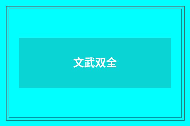 文武双全