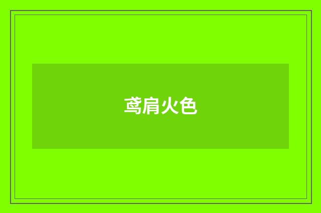 鸢肩火色