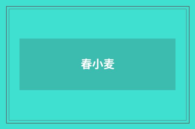 春小麦