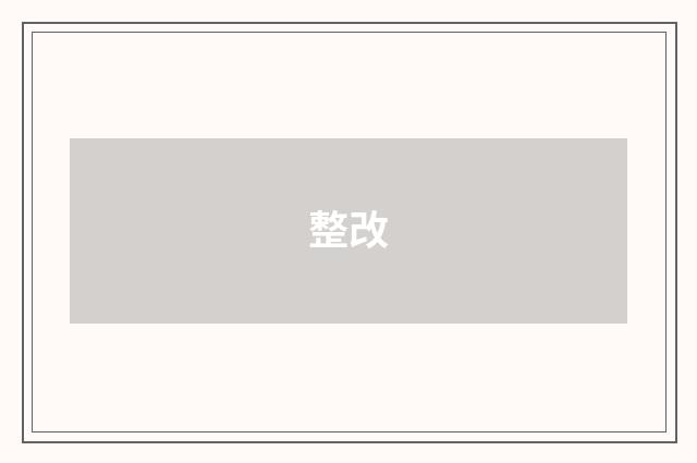整改