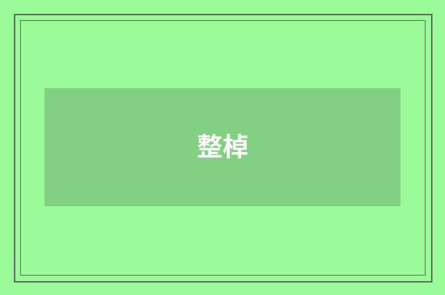 整棹