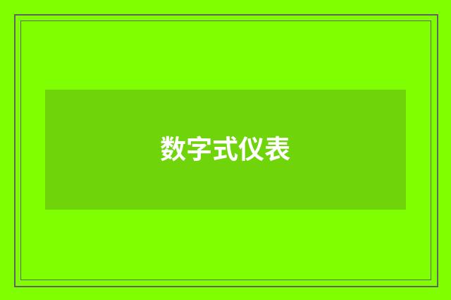 数字式仪表