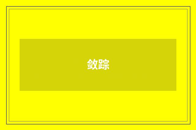 敛踪