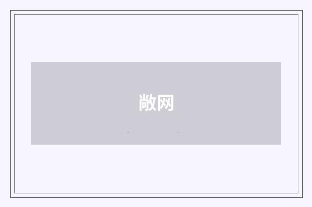 敞网