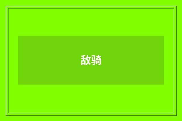 敌骑