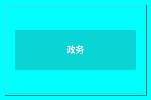 政务