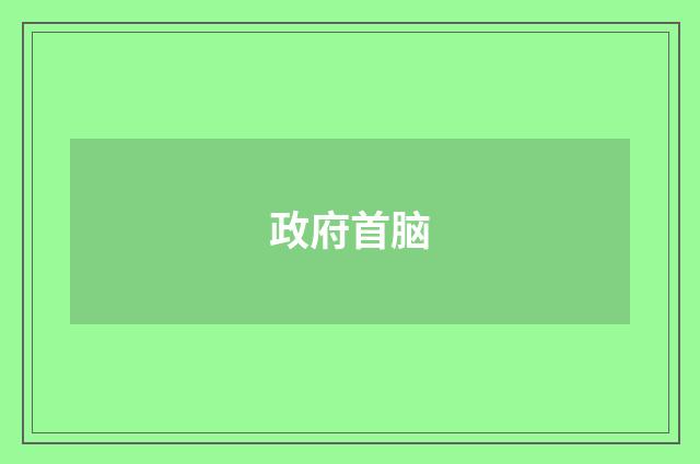 政府首脑