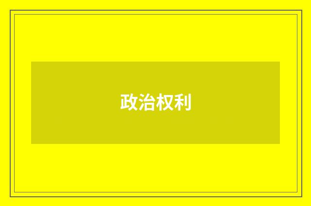 政治权利