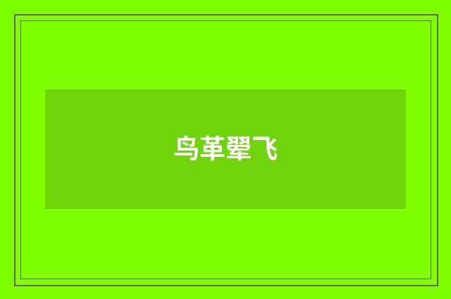 鸟革翚飞