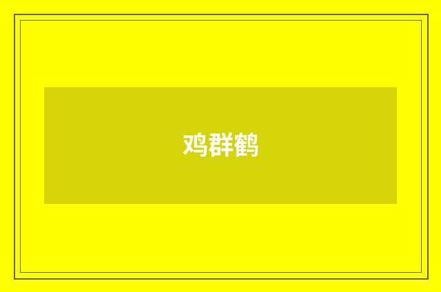 鸡群鹤