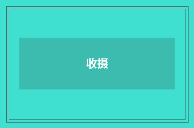 收摄