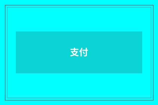 支付