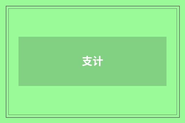 支计
