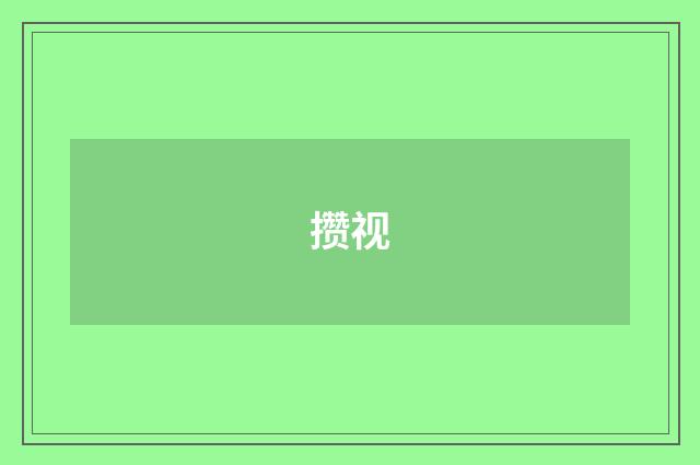攒视