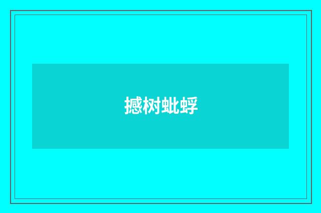 撼树蚍蜉
