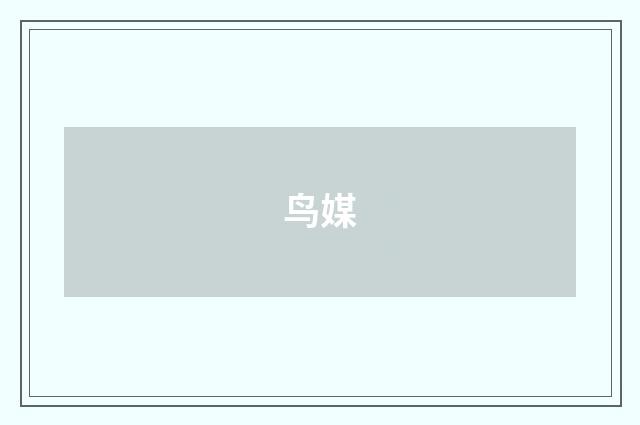 鸟媒