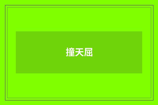 撞天屈