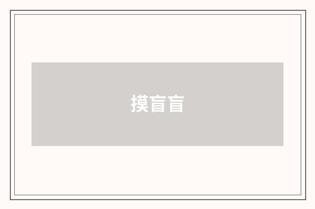 摸盲盲