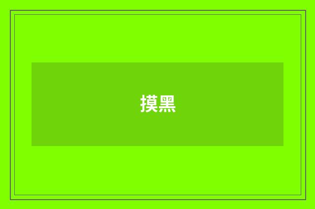 摸黑