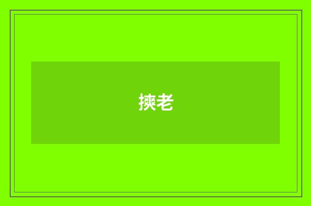 摤老