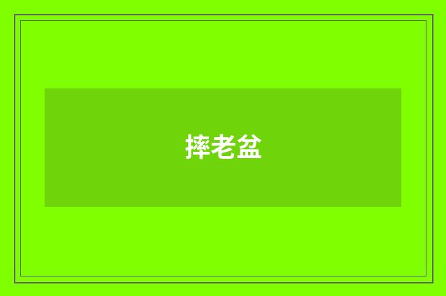 摔老盆