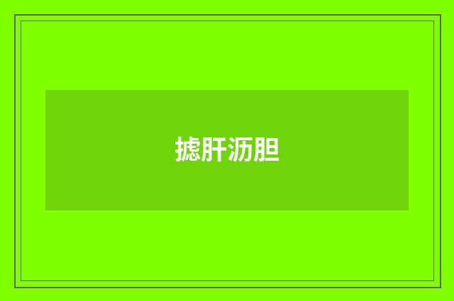 摅肝沥胆