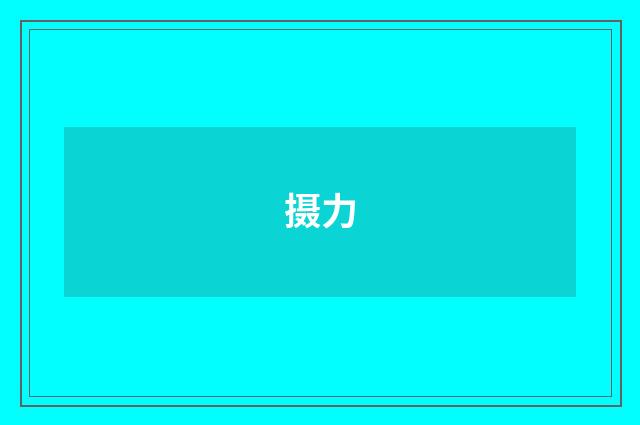 摄力